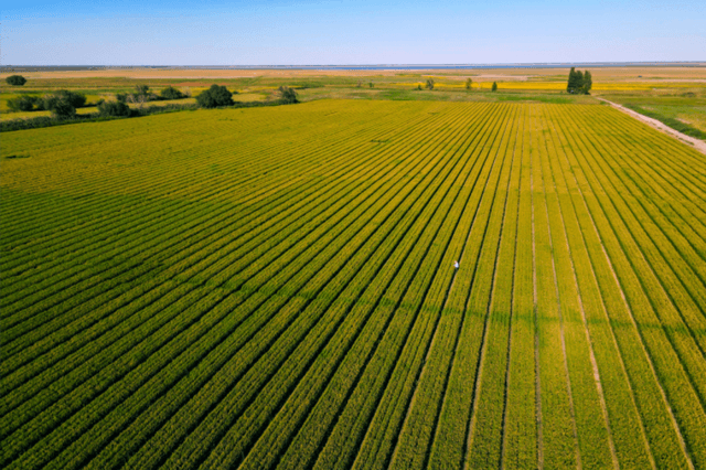 Honrel Agriculture Ecological Farming