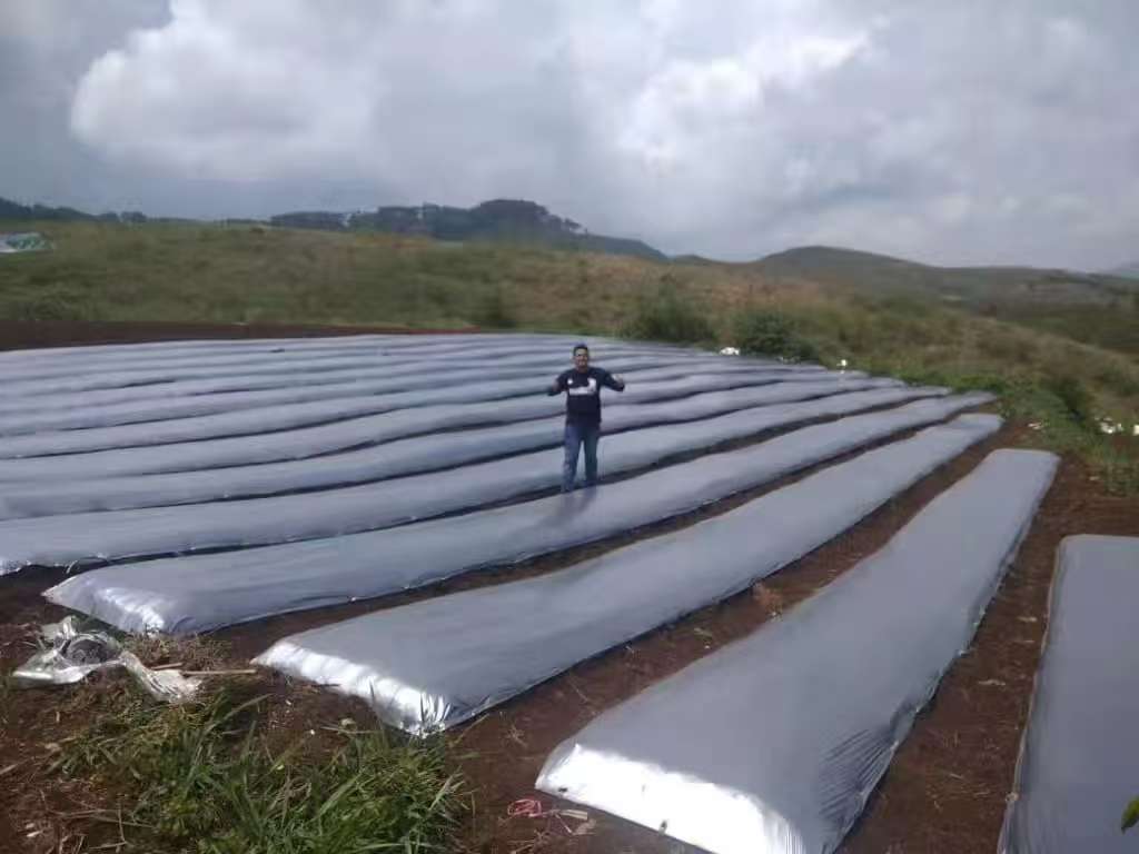 Wholesale Mulch Film Manufacturer for Farm and Greenhouse Silver and Silver Gray Mulch Film (1)