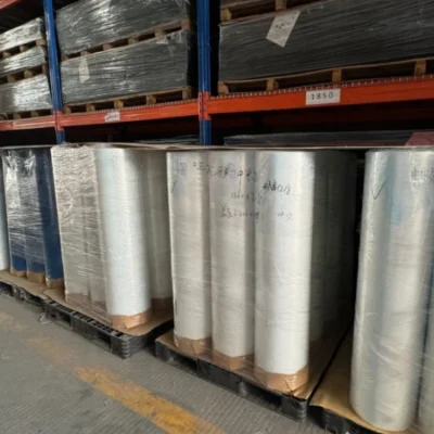 Agricultural PE Film Manufacturer | Greenhouse Covers & Mulch