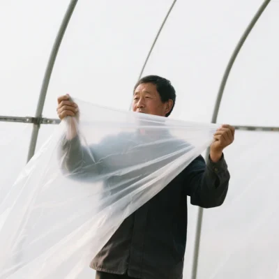 Agricultural PE Film Manufacturer | Greenhouse Covers & Mulch