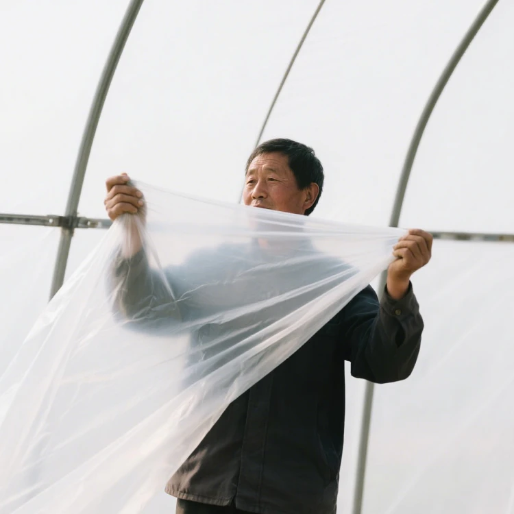 Agricultural PE Film Manufacturer | Greenhouse Covers & Mulch