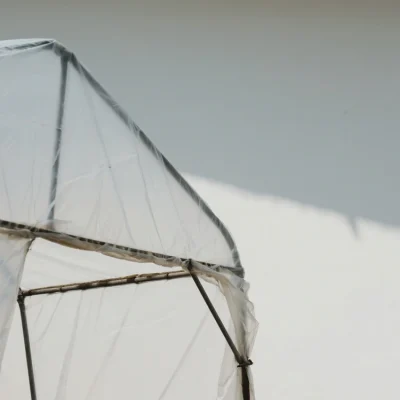 Agricultural PE Film Manufacturer | Greenhouse Covers & Mulch