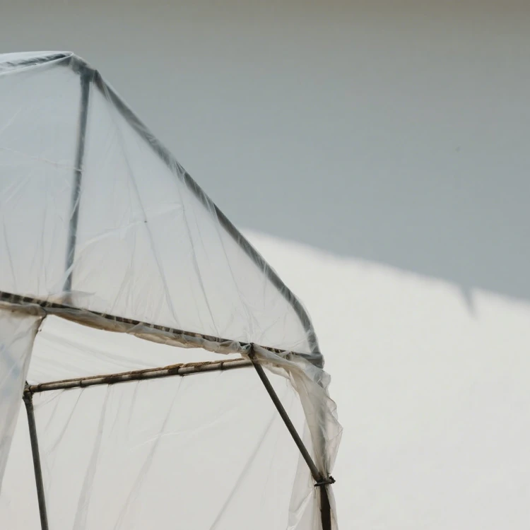 Agricultural PE Film Manufacturer | Greenhouse Covers & Mulch