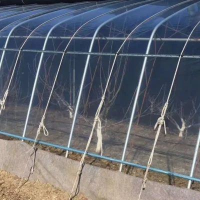 Greenhouse Cover Film Explained: Light Diffusion, Anti-Drip, Anti-Fog