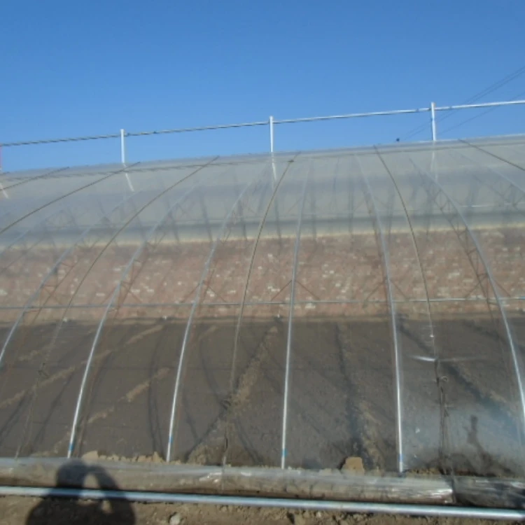 Agricultural PE Film Manufacturer | Greenhouse Covers & Mulch
