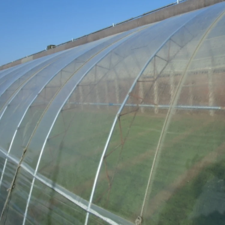 Agricultural PE Film Manufacturer | Greenhouse Covers & Mulch