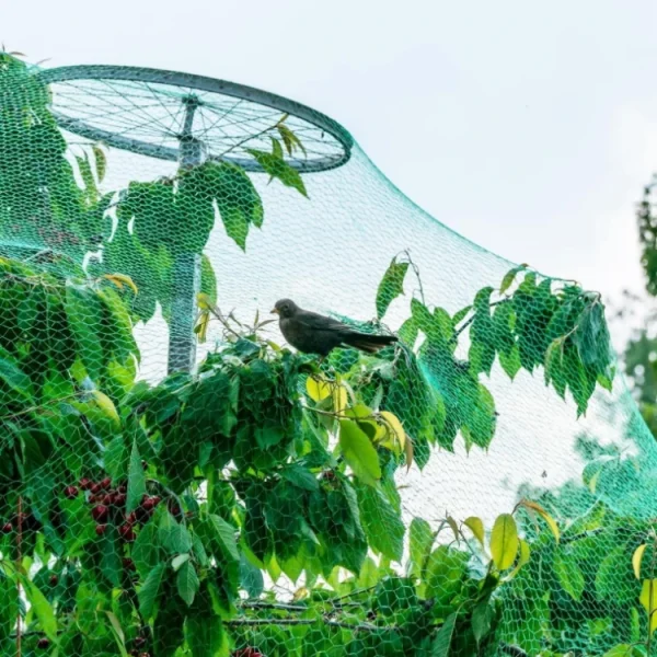 Home 16 Anti-Bird Netting Manufacturer Orchard & Vineyard Protection (10)