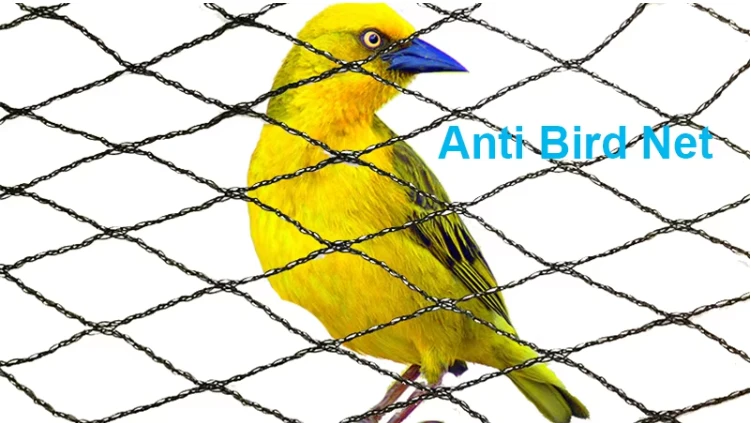Anti-Bird Netting Manufacturer | Orchard & Vineyard Protection 2 Anti-Bird Netting Manufacturer Orchard & Vineyard Protection (11)