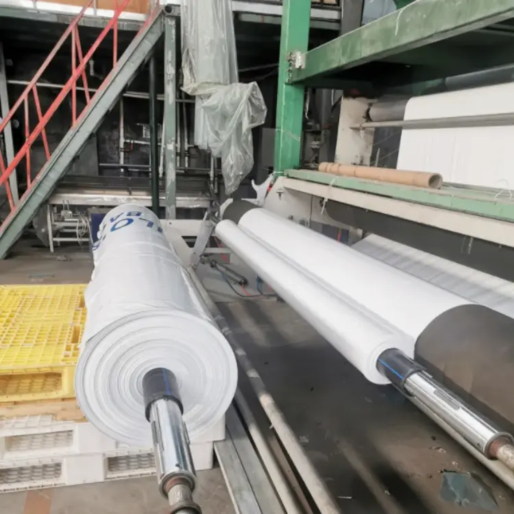 Black and White Greenhouse Film (Panda Film) OEM Manufacturer