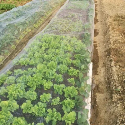 Bulk Insect Netting Manufacturer for Greenhouses, Farms and Nursery (13)