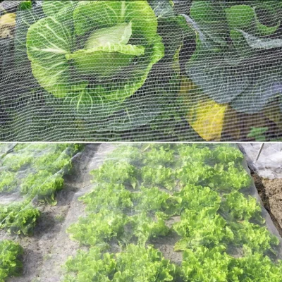 Bulk Insect Netting Manufacturer for Greenhouses, Farms and Nursery (6)