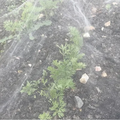 Bulk Insect Netting Manufacturer for Greenhouses, Farms and Nursery