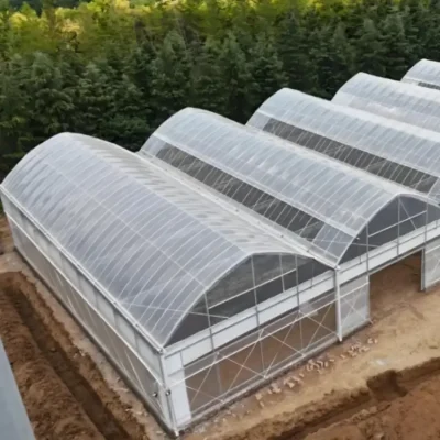 Greenhouse PO Film (Polyolefin)