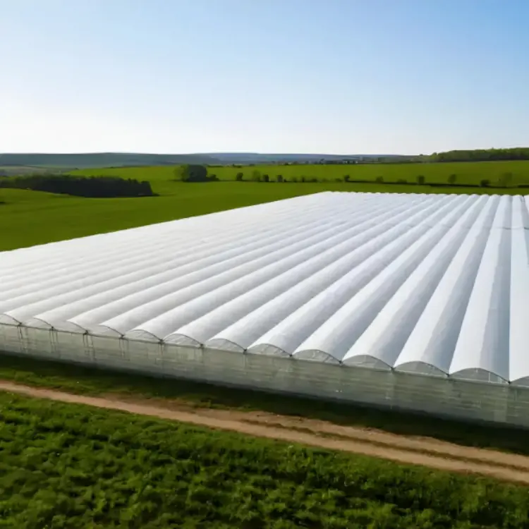 Greenhouse PO (Polyolefin) Film Manufacturer OEM & Bulk (4)