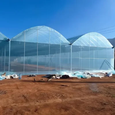 Greenhouse PO Film (Polyolefin)