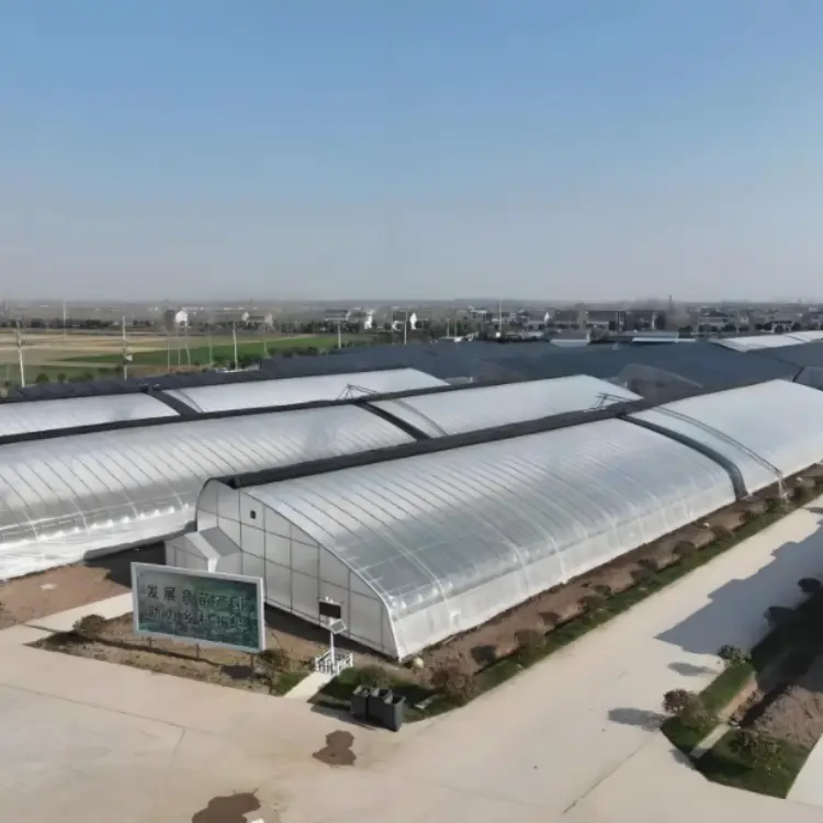 Greenhouse PO Film (Polyolefin)