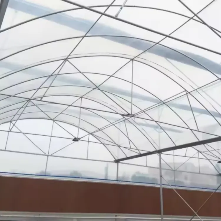 Greenhouse PO Film (Polyolefin)