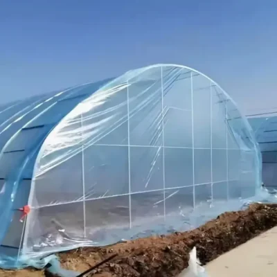 Greenhouse PO (Polyolefin) Film Manufacturer OEM & Bulk (9)