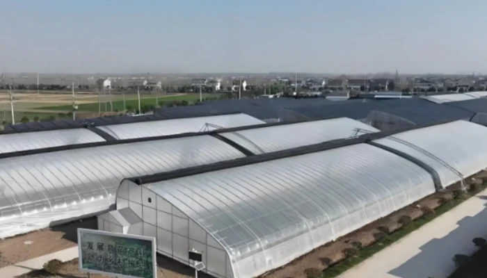 Honrel Agriculture Project Case (5)