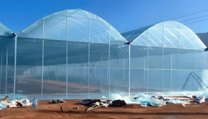 Honrel Agriculture Project Case (6)