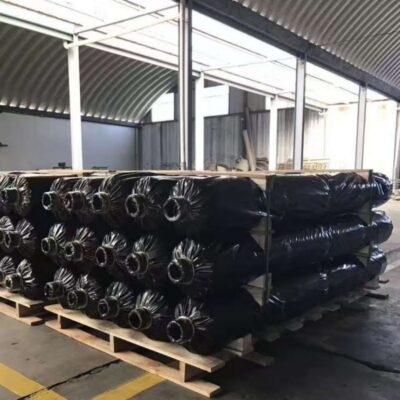 Black and White Panda Film