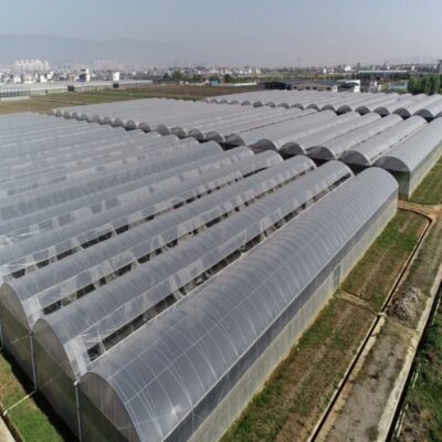 PE Greenhouse Film