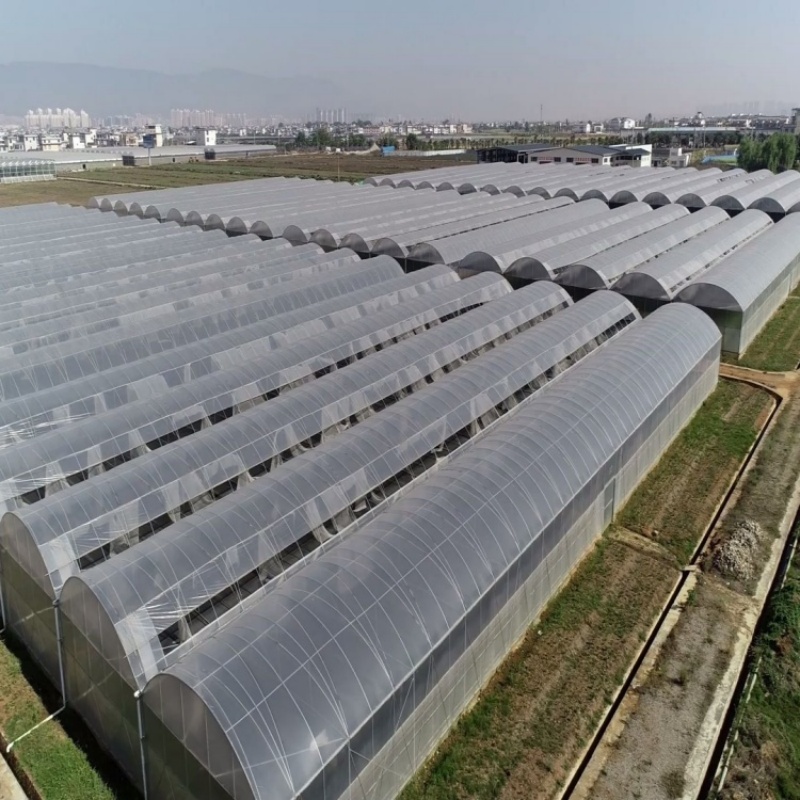 PE Greenhouse Film