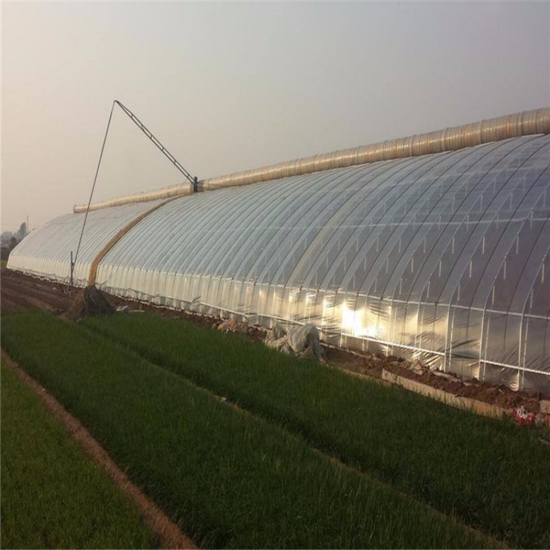PE Greenhouse Film