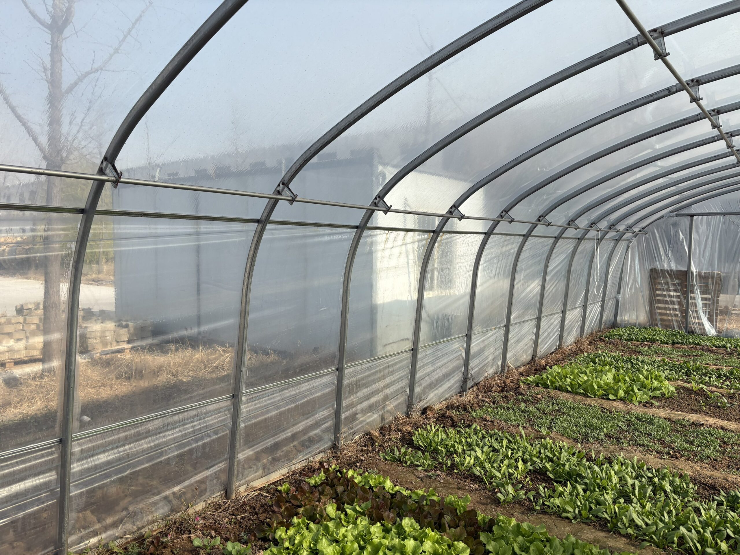 PO膜照片 10 scaled