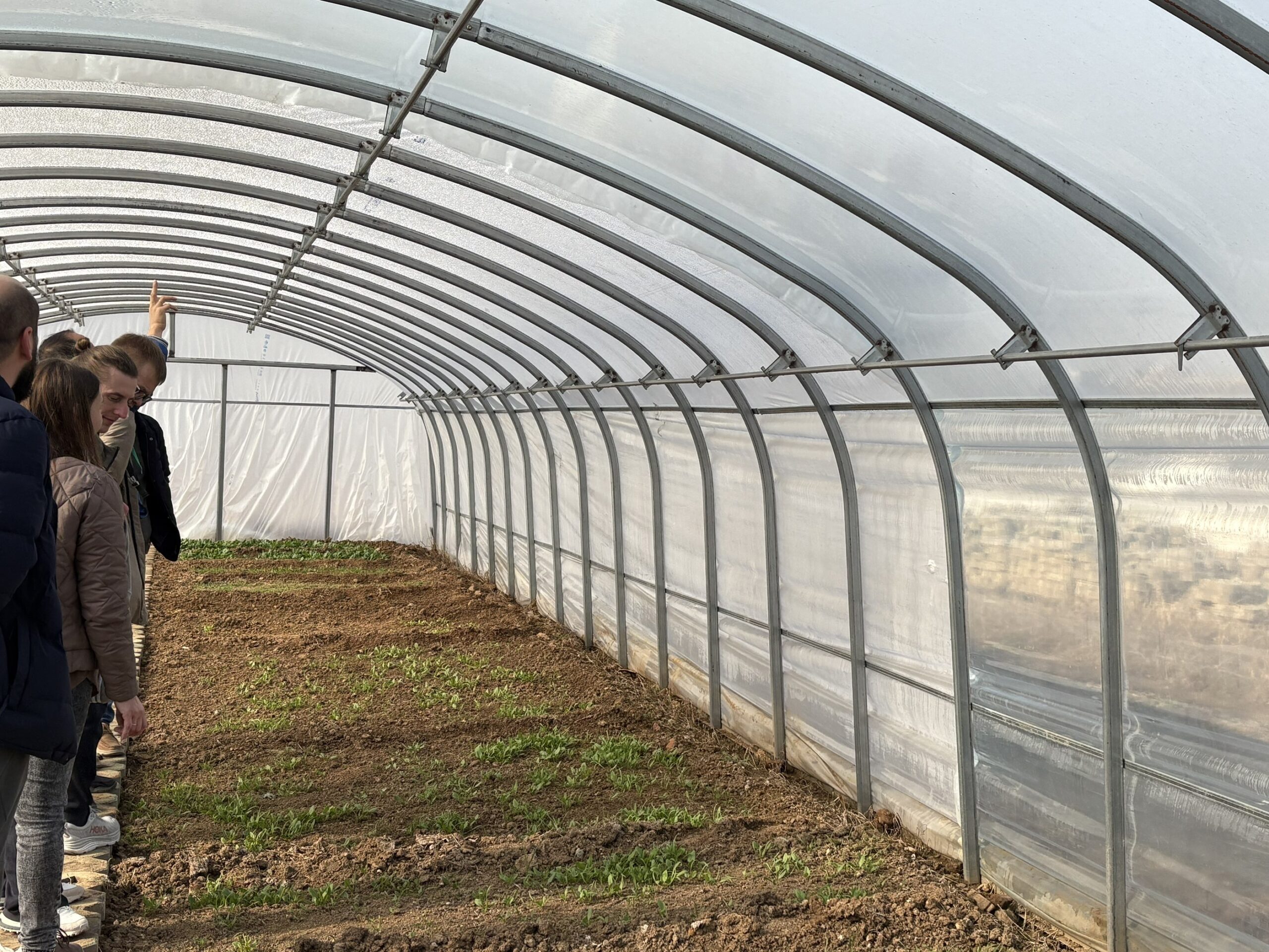 PO膜照片 5 scaled