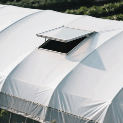 Black and White Panda Film