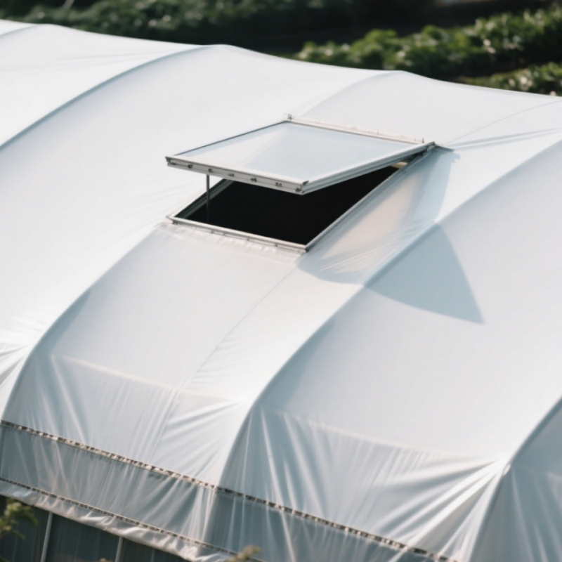 Black and White Panda Film