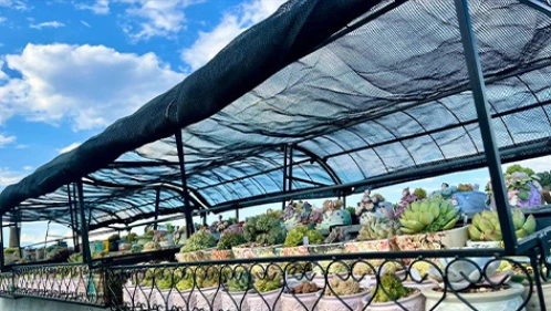 Shade Net Manufacturer High-Density Polyethylene Shade Cloth (3)