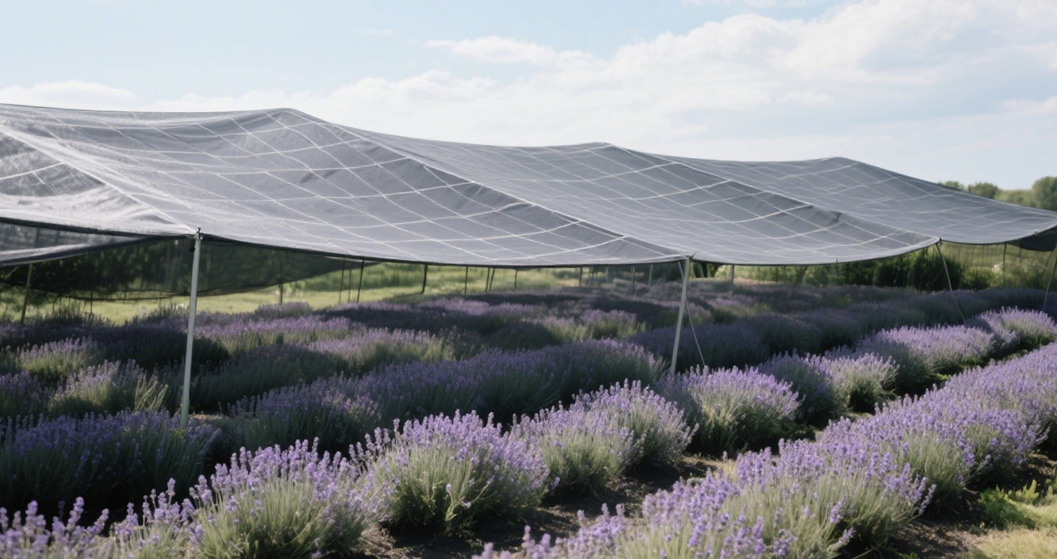 Camo Shade Netting (Camouflage Netting for Shade)