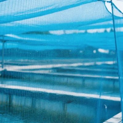 Shade Net Manufacturer | High-Density Polyethylene Shade Cloth (OEM)