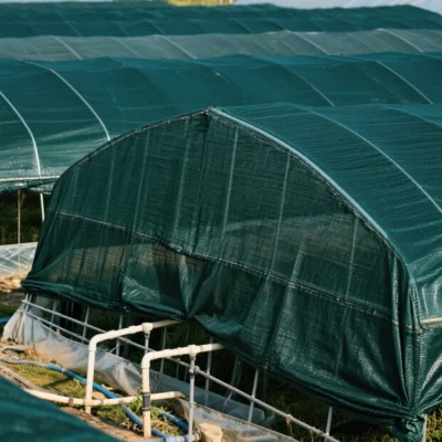 Shade Net Manufacturer | High-Density Polyethylene Shade Cloth (OEM)