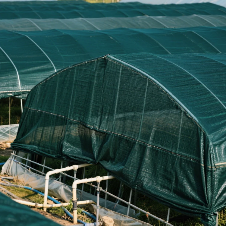 Shade Net Manufacturer | High-Density Polyethylene Shade Cloth (OEM)