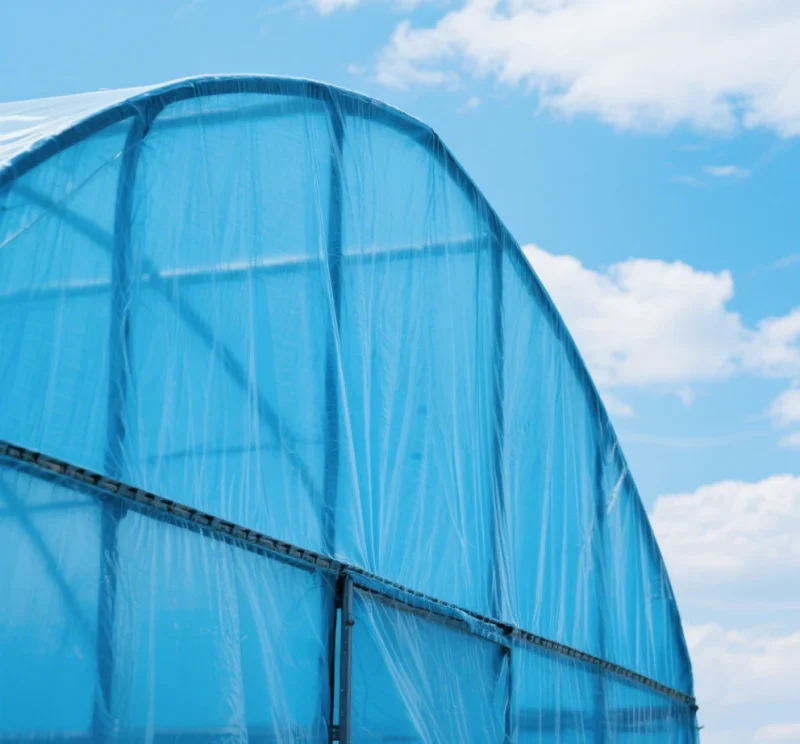 Shade Net Manufacturer | High-Density Polyethylene Shade Cloth (OEM)