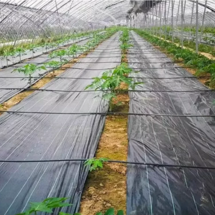 Woven Ground Cover Manufacturer Weed Control Fabric (3)