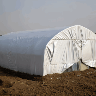 Black and White Panda Film