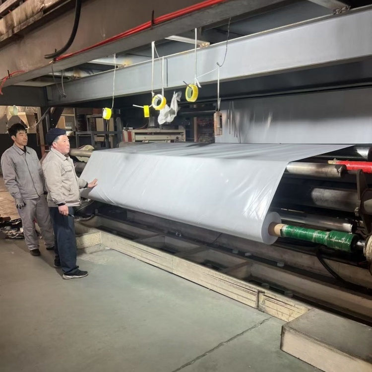 Panda Film Manufacturer for Hydroponics Systems 2 panda film 2 副本