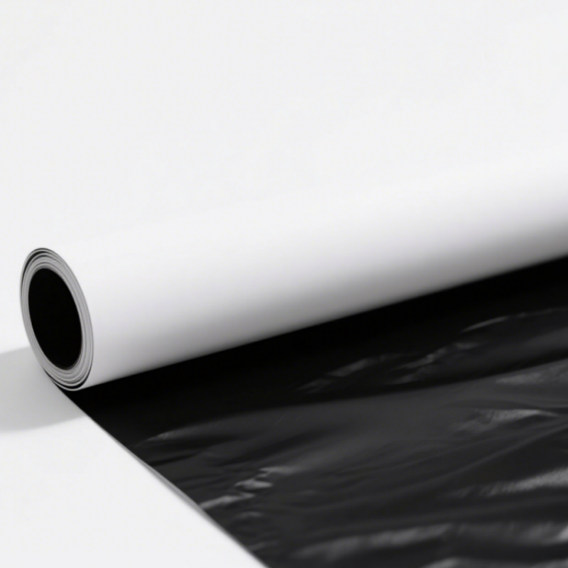 Black and White Panda Film