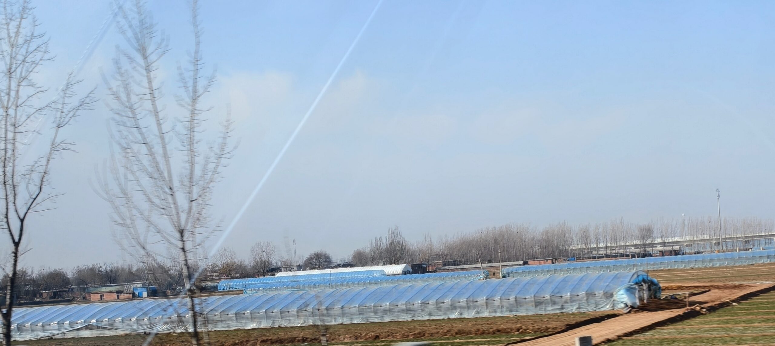 大棚膜9 scaled