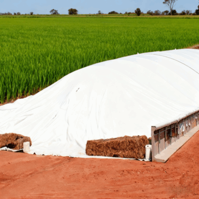Black and White Silage Film
