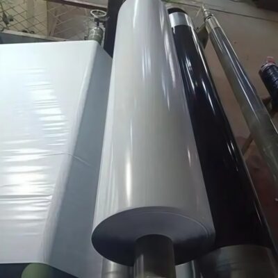 Black and White Panda Film