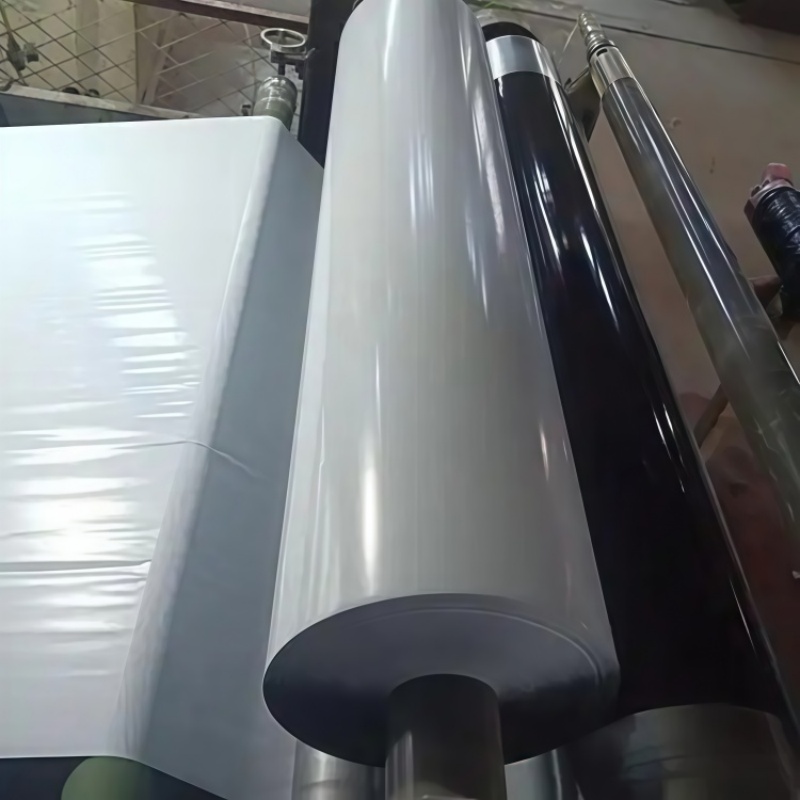 Black and White Panda Film