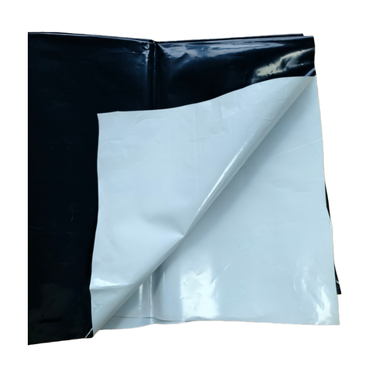 black and white panda film