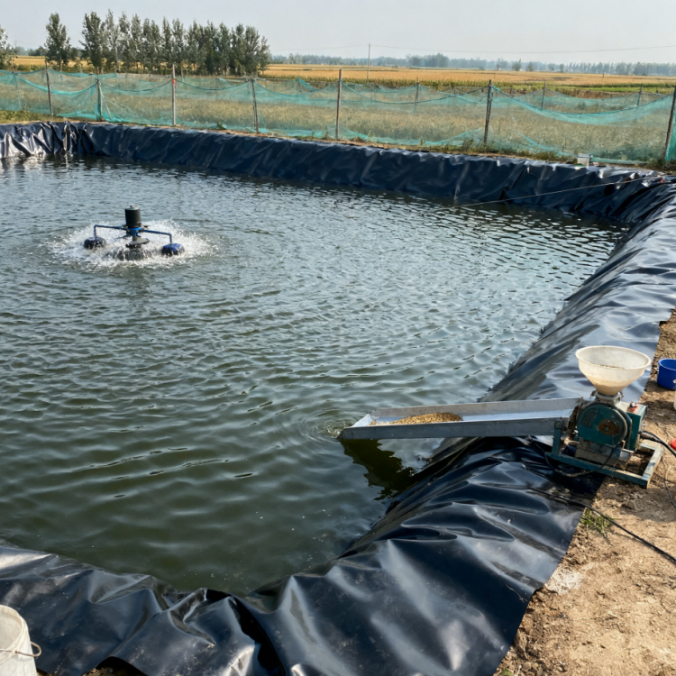Geomembrane