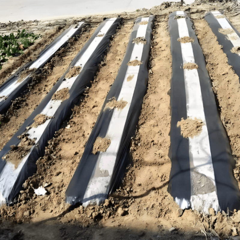 Agriculture Mulch Film