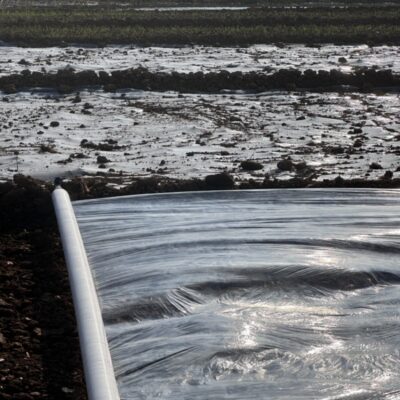Agriculture Mulch Film